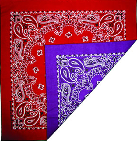 2010503-Reversible-Purple-Red-Paisley-Bandanas.jpg