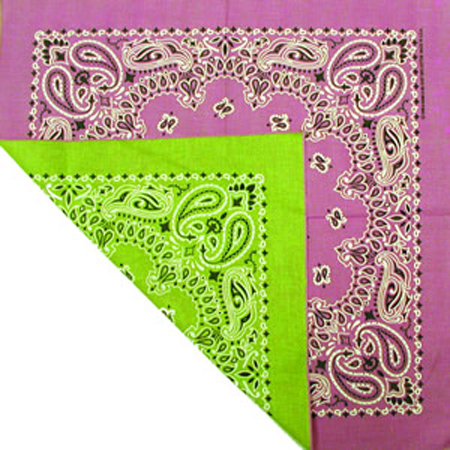 2010505-Reversible-Lime-Light-PinkPaisley-Bandanas.jpg